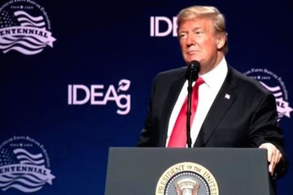 "Eles vão ter um novo grande líder, disse Trump sobre Bolsonaro - Pátria Digital