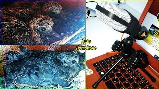 Ninhada de Passarinho na Lâmpada 2 + Bastidores da Recente Dublagem em Progresso