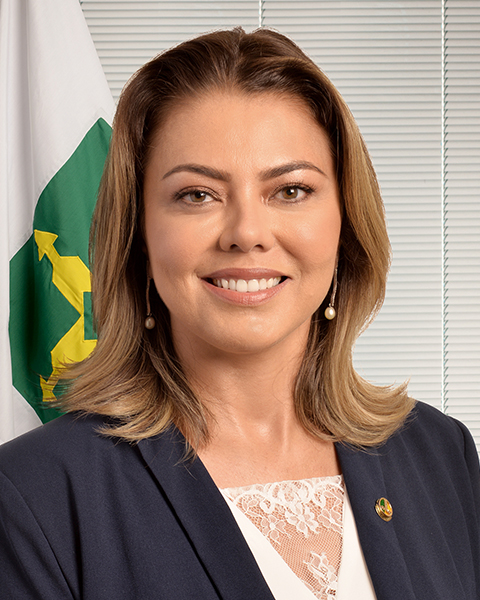 Legislatura Atual - Senado Federal