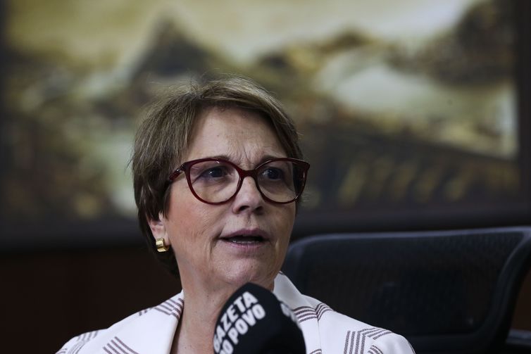 Tereza Cristina rebate acusação de liberação recorde de agrotóxicos - RENOVA Mídia
