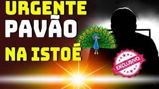 URGENTE - PF DESCOBRINDO TUDO SOBRE OS HACKERS - CADEIA NO GLEEN