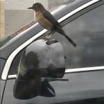 Carlos Martins Profile Picture