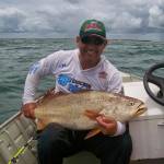 Rogério de Almeida Profile Picture