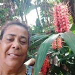 grogiao Profile Picture