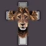 Paulinho Do Fogo Novaes profile picture