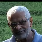 Jose Matos Profile Picture