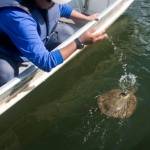 LUCIANO DE LIMA Profile Picture