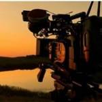 Divirender Edições Profile Picture