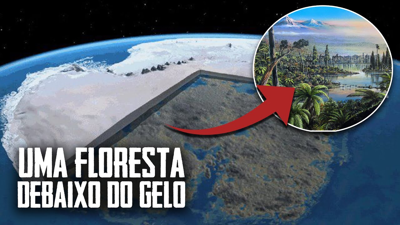 UMA FLORESTA NA ANTÁRTIDA EM BAIXO DO GELO - DESCOBERTA INTRIGANTE DE PESQUISADORES em 2020