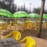 Terecilda Mota Profile Picture