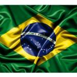 Bruno Almeida Profile Picture