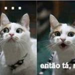 Célia Couto Verde Profile Picture