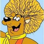 Jorge Pina Profile Picture