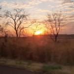 Rosimeire Freitas Profile Picture