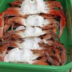 Carlos Alberto Profile Picture