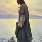 Apitus Kairu Profile Picture