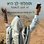 João Rocha Profile Picture