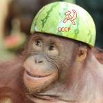 Matheus Benavides Profile Picture