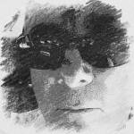 Pedro Luiz Profile Picture