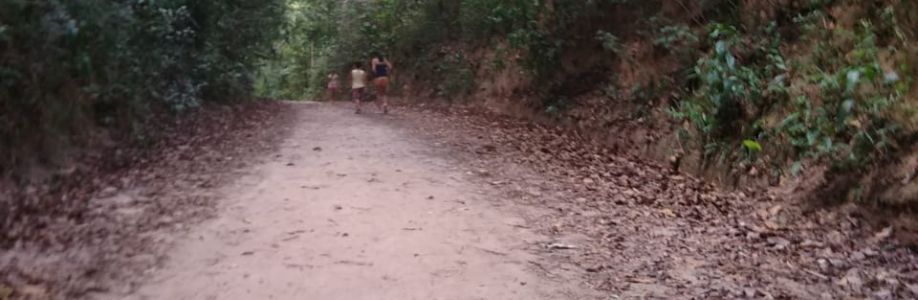 Marcelo Lima Cover Image