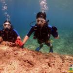 Edson Yamada Profile Picture