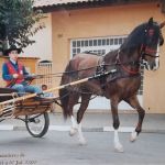 Domenico Dattola Profile Picture