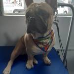 Eduardo Nunes Profile Picture