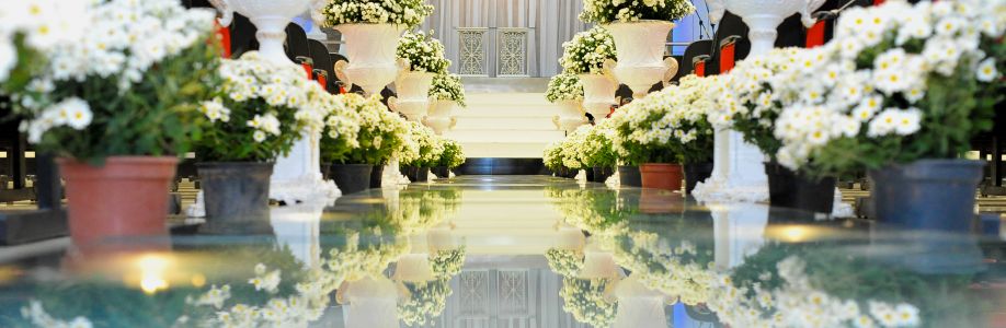 Edmilson Nunes Vieira Cover Image