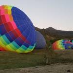 Domingos Junior Profile Picture