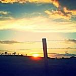 Edigar Toledo Profile Picture