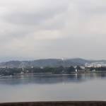 Magali Lima Profile Picture