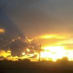 NASSOM RIBEIRO Profile Picture