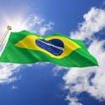 Camilla Vitorino Santos Felipe Profile Picture