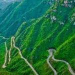 marcelo campos Profile Picture