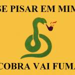 Tony Polleto Profile Picture