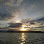 Jeferson hohmann Profile Picture