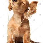 fabioalert Profile Picture