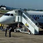 Edna Araujo Profile Picture