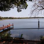 paulohf2 Profile Picture