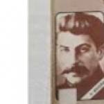 Koba Profile Picture