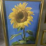 Jucilene Profile Picture