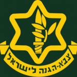 André Caravela Profile Picture