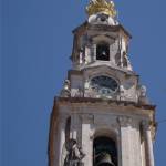 Francisco Amaral Profile Picture