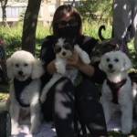 irenek Profile Picture