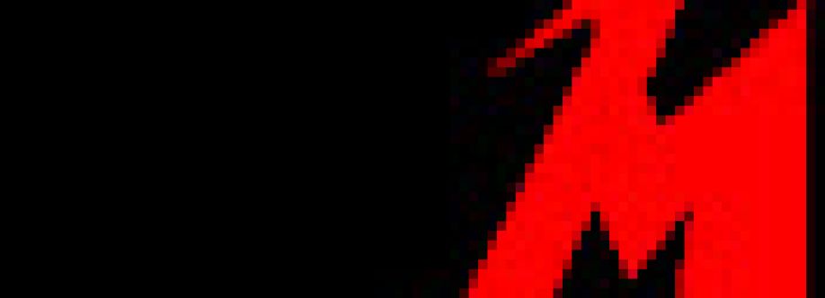 Mário Pereira Amaral Cover Image