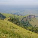 Patríciah Nunes Profile Picture