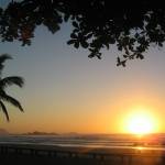 Carlos Scarpine Profile Picture