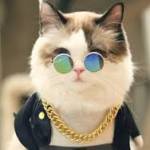 XsdSdsf Profile Picture