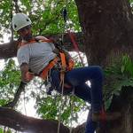 EVERSON RUBENS OLBERA Profile Picture