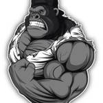 JAMISSON GUIMARÃES Profile Picture